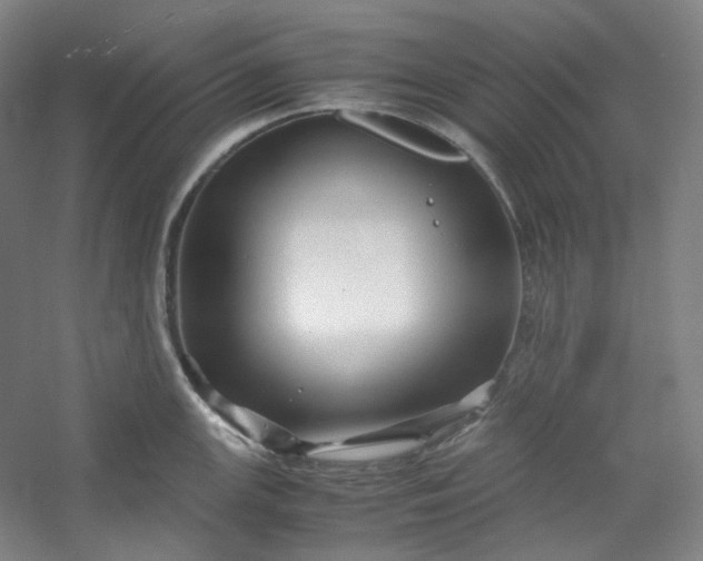 X0000053091147200507251558