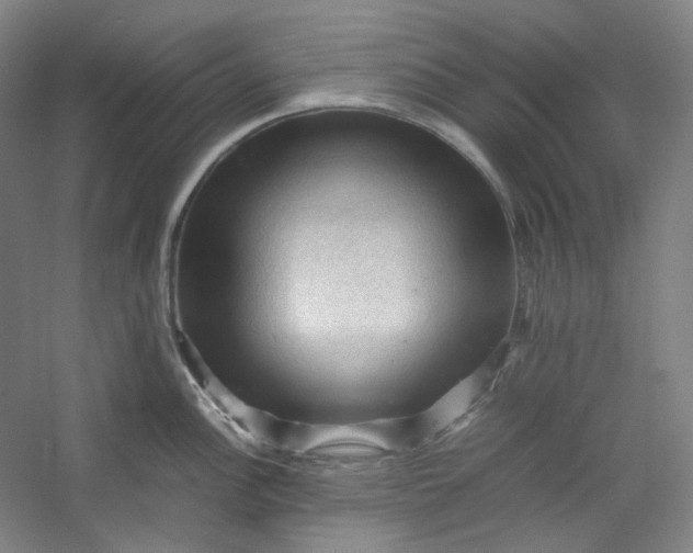 X0000053091148200507251558