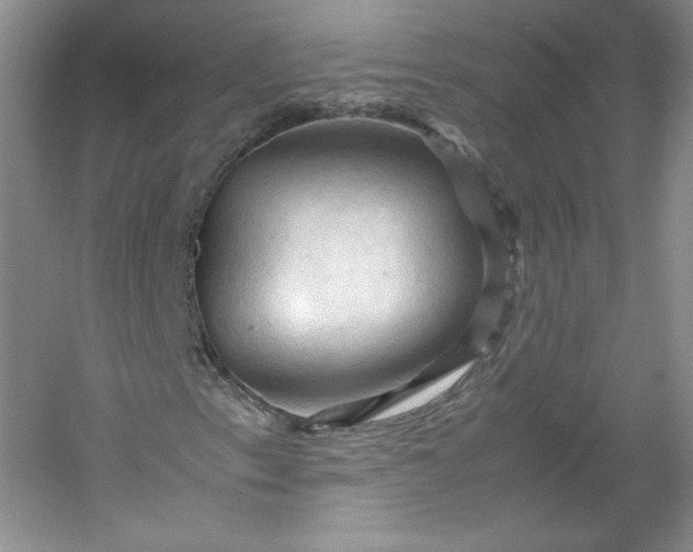 X0000053091153200507251557