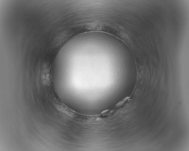 X0000053091154200507251557