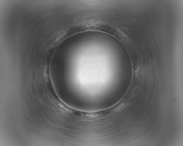 X0000053091156200507251557