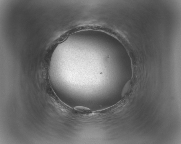 X0000053091159200507251557