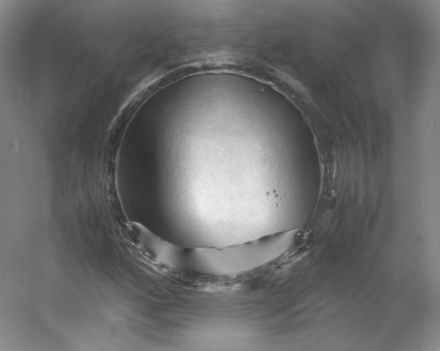 X0000053091160200507251557