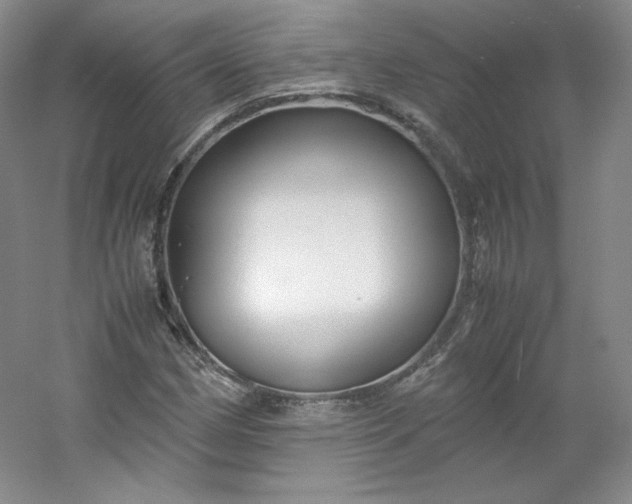 X0000053091162200507251557