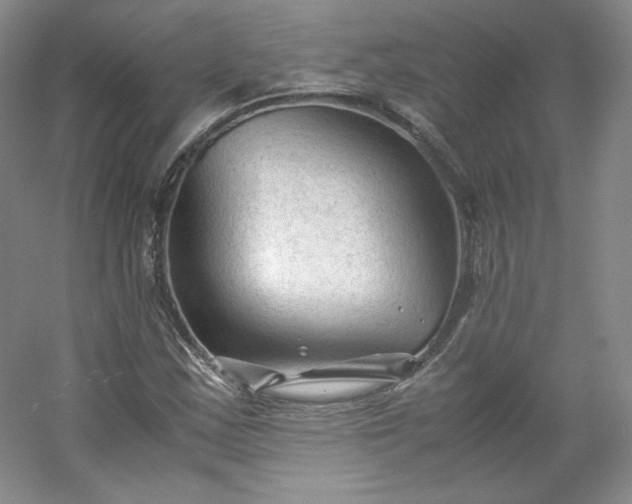 X0000053091163200507251557