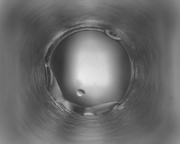 X0000053091164200507251557