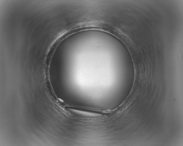 X0000053091166200507251557