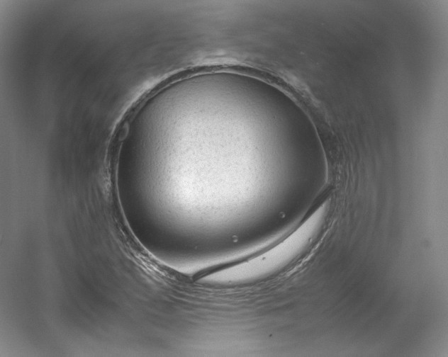 X0000053091167200507251557