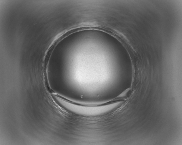 X0000053091168200507251557