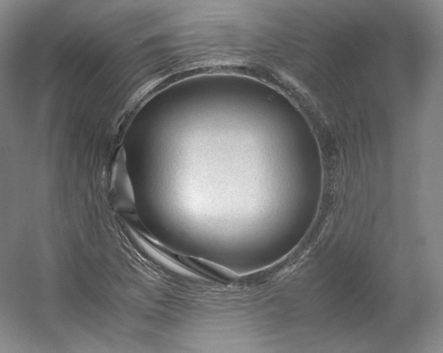 X0000053091169200507251557