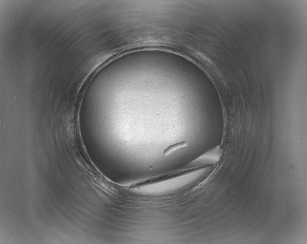 X0000053091170200507251557