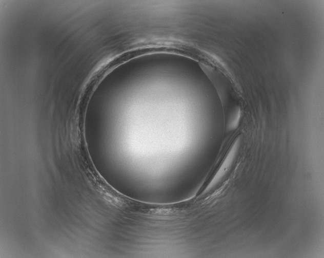 X0000053091172200507251557