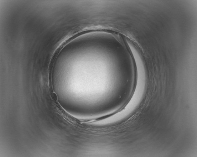 X0000053091173200507251557