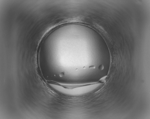 X0000053091174200507251557