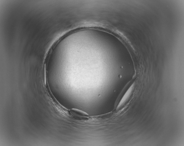 X0000053091175200507251557