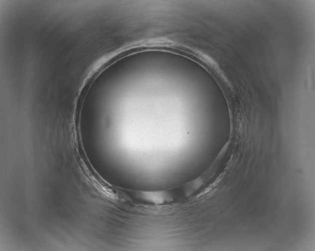 X0000053091176200507251557