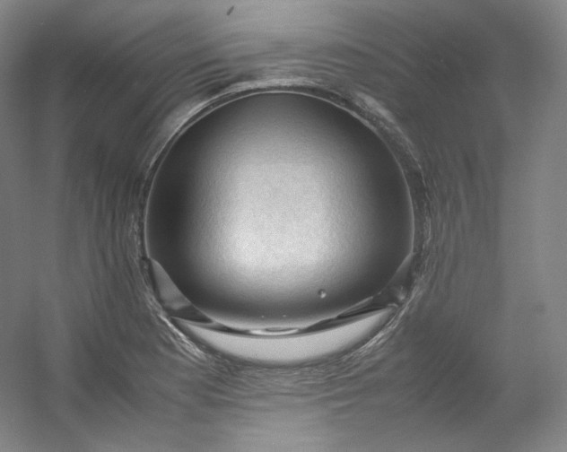 X0000053091177200507251557