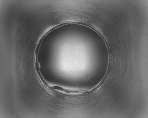 X0000053091179200507251557