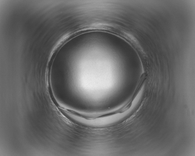 X0000053091180200507251557