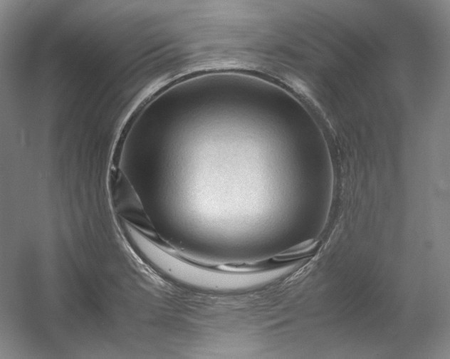 X0000053091181200507251557