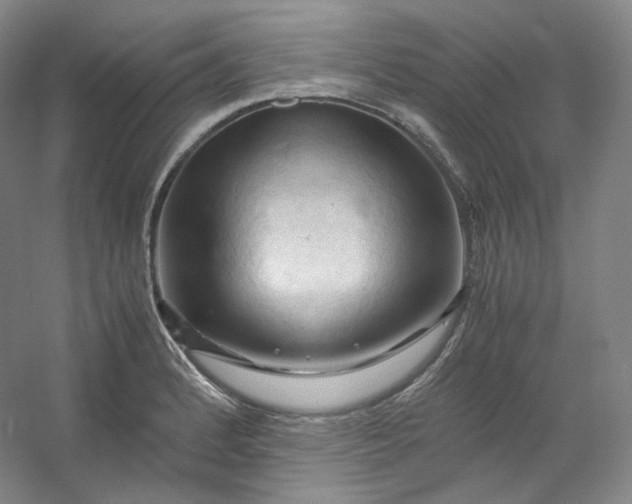 X0000053091184200507251556