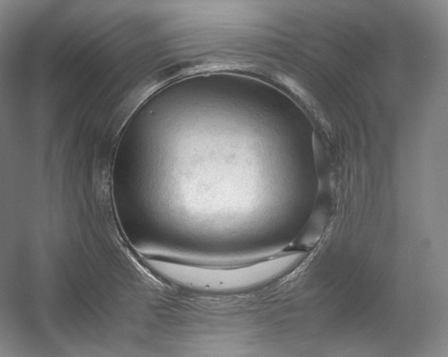 X0000053091185200507251556