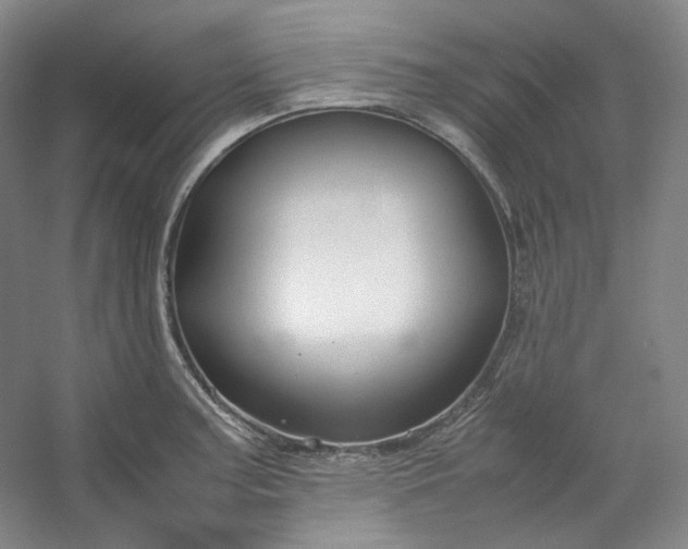 X0000053091187200507251556