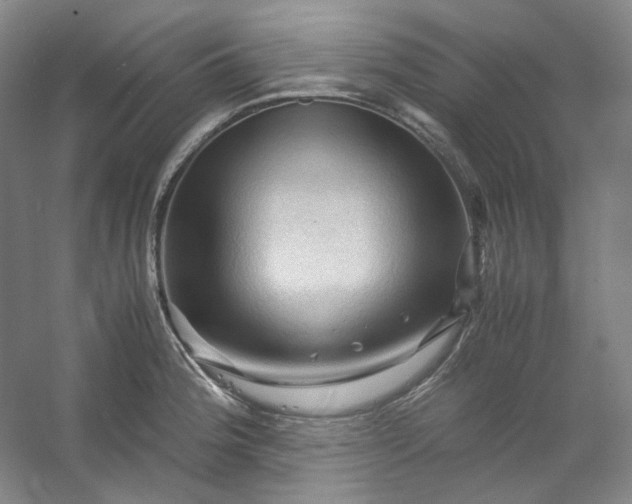 X0000053091188200507251556