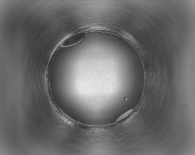 X0000053091190200507251556