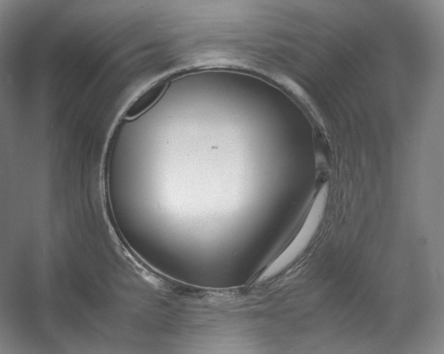 X0000053091191200507251556