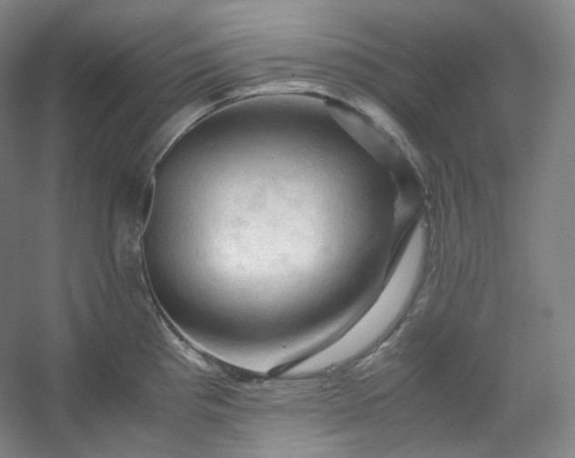 X0000053091193200507251556