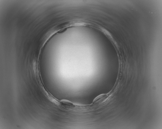 X0000053091194200507251556