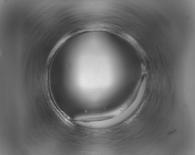 X0000053091196200507251556