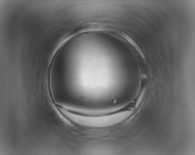 X0000053091197200507251556