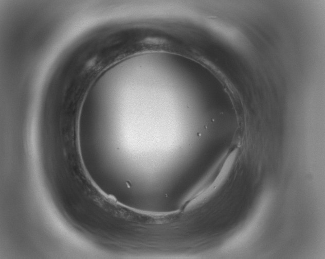 X0000053091199200507251556