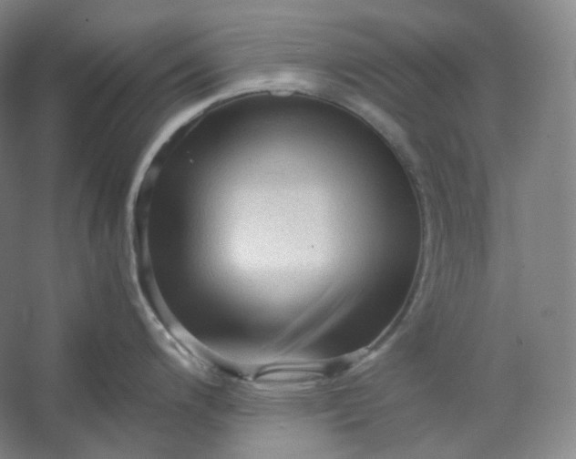 X0000053091200200507251556