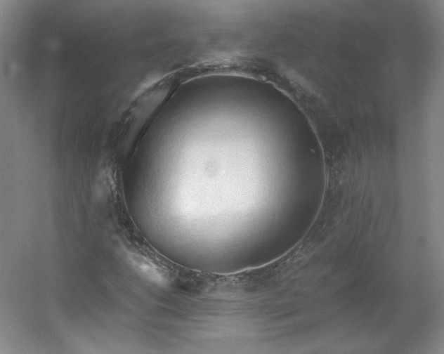 X0000053091206200507251555