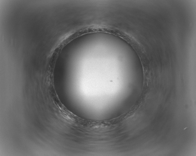 X0000053091207200507251555