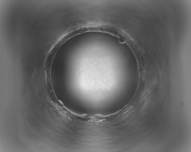 X0000053091208200507251556