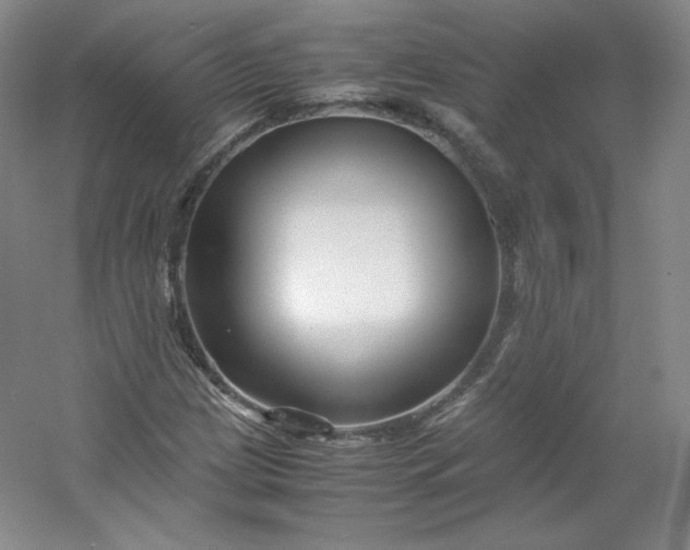 X0000053091209200507251556