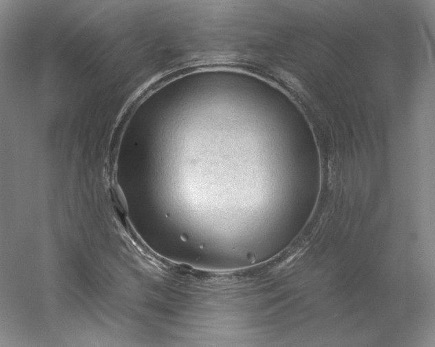 X0000053091212200507251556