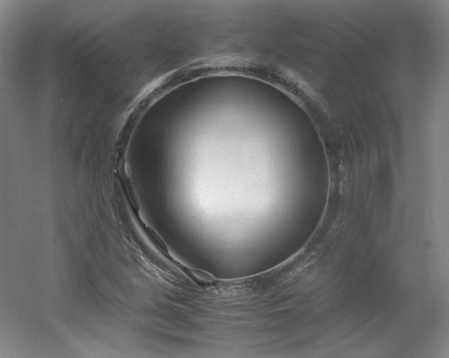 X0000053091213200507251556