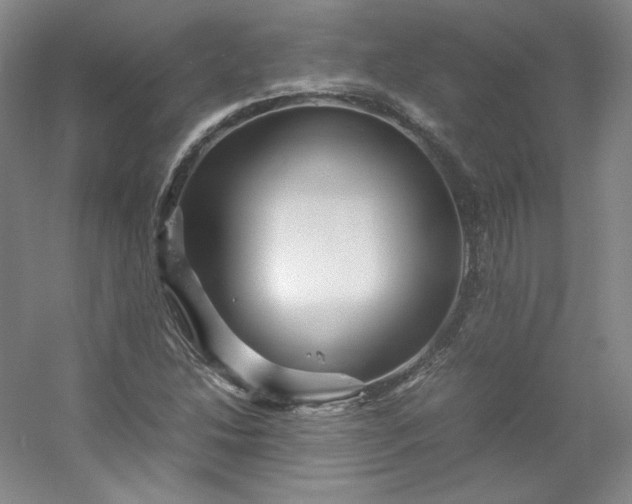 X0000053091214200507251556