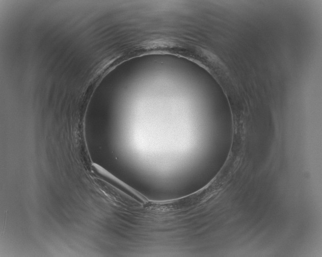 X0000053091217200507251556