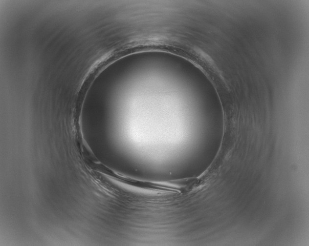 X0000053091218200507251556