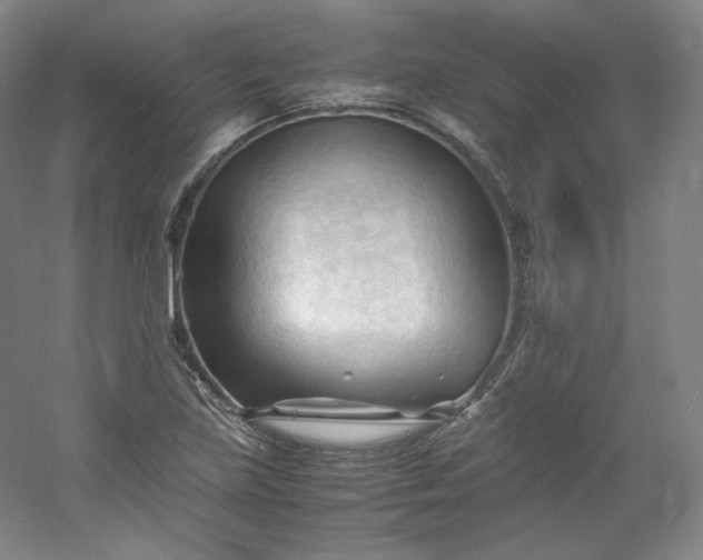 X0000053091219200507251556