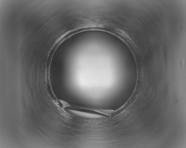 X0000053091220200507251556