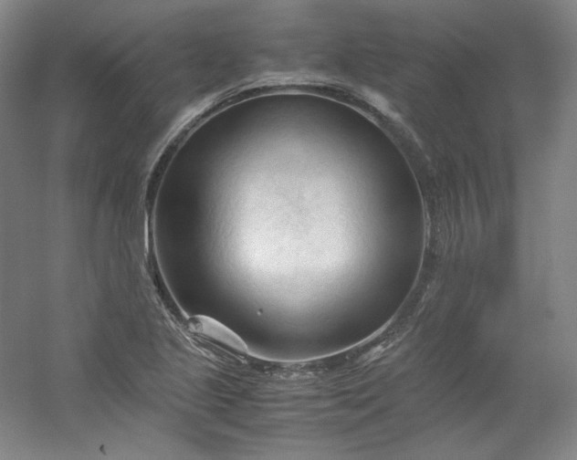 X0000053091221200507251556