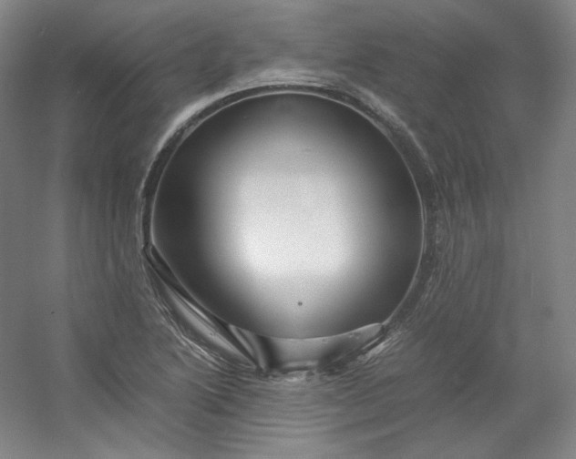 X0000053091222200507251556