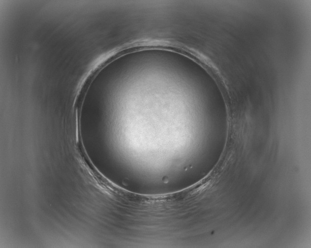 X0000053091223200507251556